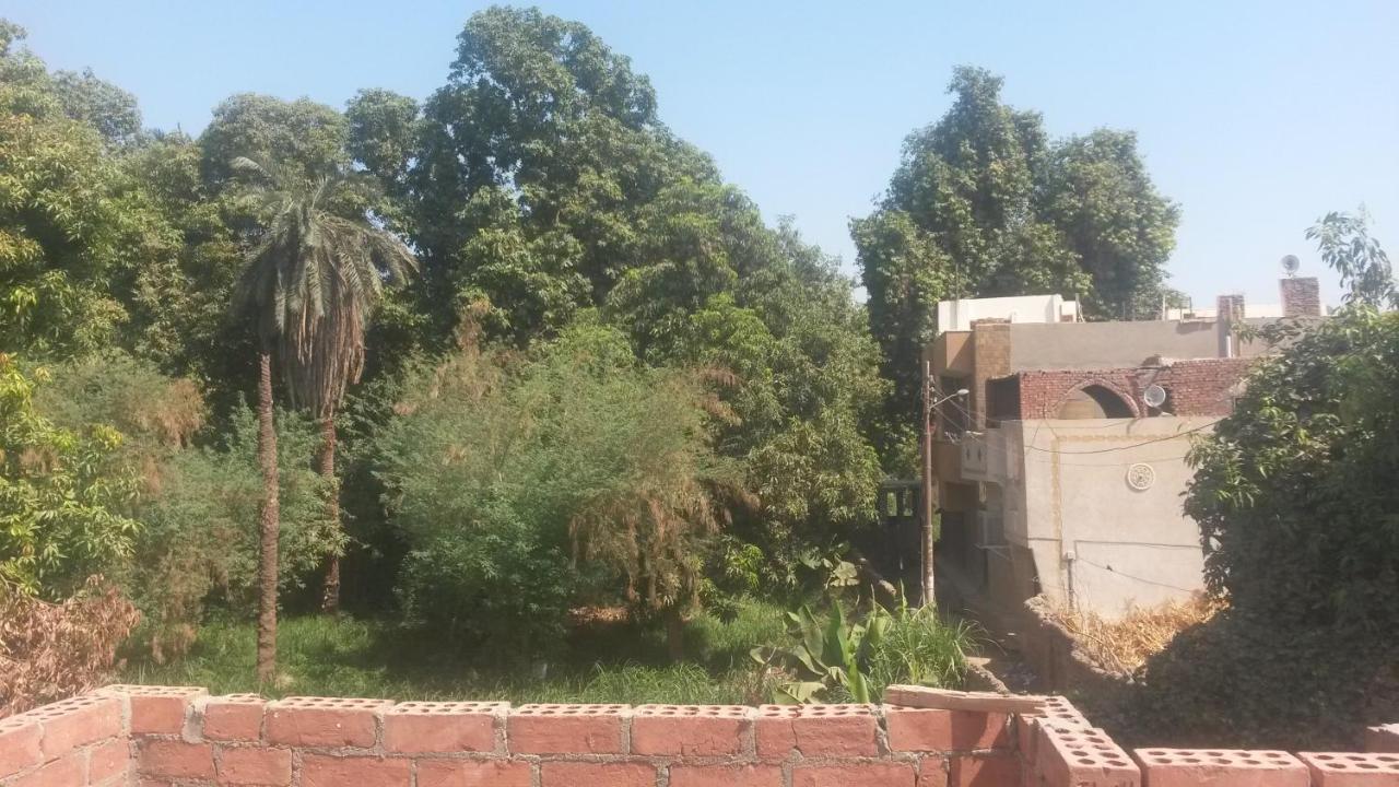 Shater Nubian House Asszuán Kültér fotó